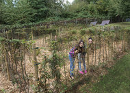 Litermont_Schule_Irrgarten 
