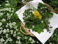 20180516_Kräuterküche_Naturpark_Saar-Hunsrück_Martina Zipf