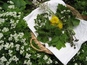20180516_Kräuterküche_Naturpark_Saar-Hunsrück_Martina Zipf