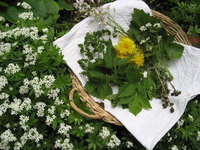 20180516_Kräuterküche_Naturpark_Saar-Hunsrück_Martina Zipf