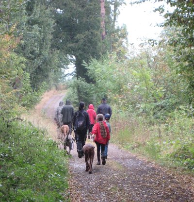 17102016_Bild_Herbst-Hundewanderung-auf-der-Traumschleife Druidenpfad