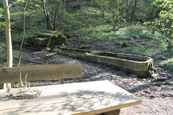 Waschbrunnen Wald