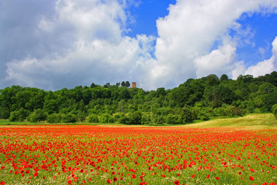 Blumenfeld_Siersburg