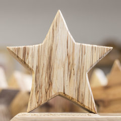 Holzstern