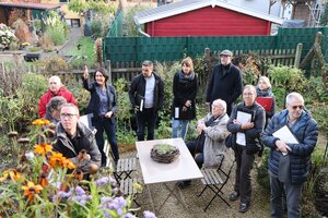 Garten (2)