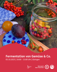 Fermentation Gisingen