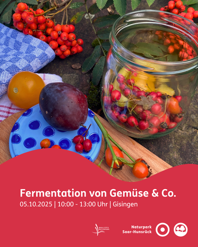 Fermentation Gisingen