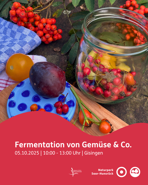 Fermentation Gisingen Fermentation Gisingen