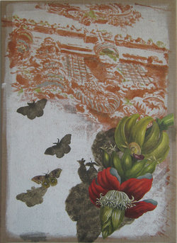 Bananeblüte_50x70