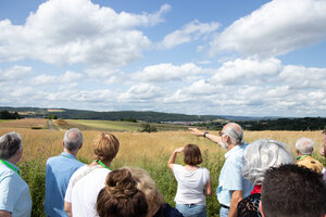 Bils_IMG_2722 Bils_IMG_2722