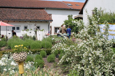 Duft- und Würzgarten Haus Saargau