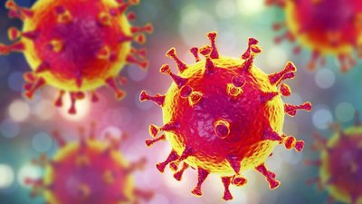 adobestock_196918795_1579644632-768x432