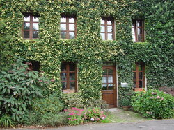 Hausfront in Bedersdorf im Jahr 2008_Jörg-Dietrich