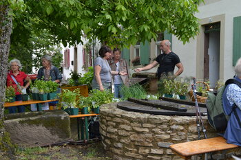 Rendezvous im Garten-vor-Haus-Saargau