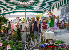 Wadgasser-Fruehling-6451