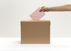 Wahl-2024